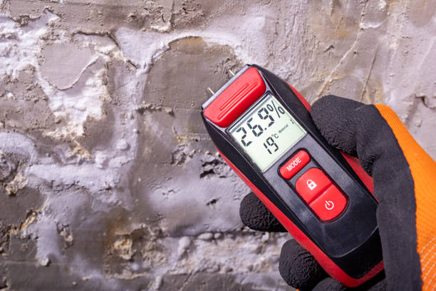 Best Mold Damage Repair  in Lancaster, TX