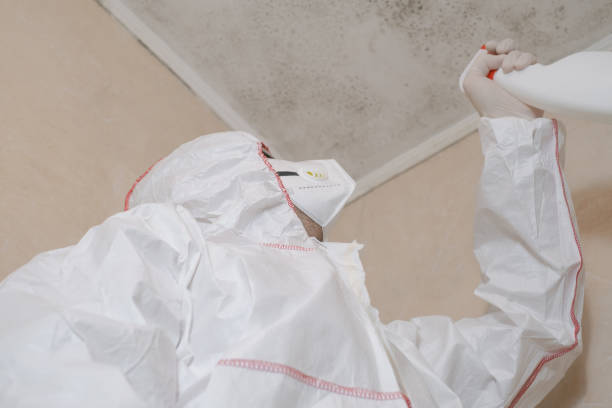 Water Damage Restoration in Lancaster, TX